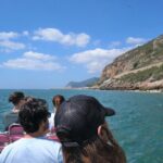 Dolphin watching in Setúbal - Frequently Asked Questions