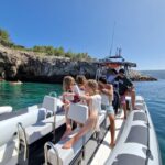 Dolphin Watching: Sesimbra / Arrábida Natural Park - The Sum Up