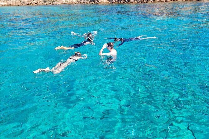 Dolphin Watching Tour with Snorkeling from Olbia - The Experience in Context