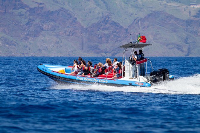 Dolphin - Whale - Turtle - Bird Watching - What Sets This Tour Apart?