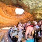 Dolphins & Benagil Caves with Biologist guide - The Experience: Why It Stands Out