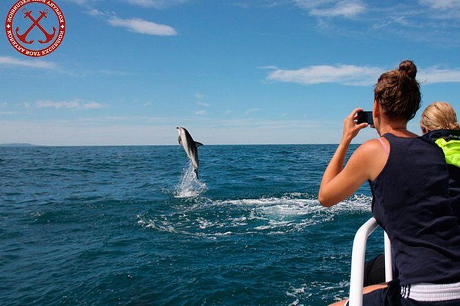 Dolphins Watching in the National Park Brijuni from Pula - The Sum Up