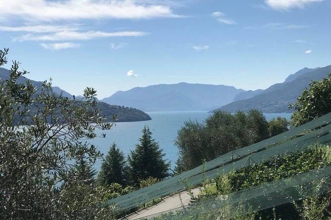 Domaso: Wine Tasting at the Winery on Como Lake - Final Thoughts: Is This Tour Right for You?