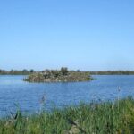 Doñana 4x4 and El Rocío Tour - Who Should Consider This Tour?