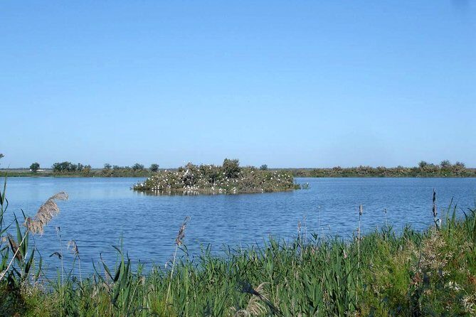 Doñana 4x4 and El Rocío Tour - Who Should Consider This Tour?