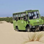 Doñana: 4x4 tour of the national park and beaches - Final Thoughts: Is It Worth It?