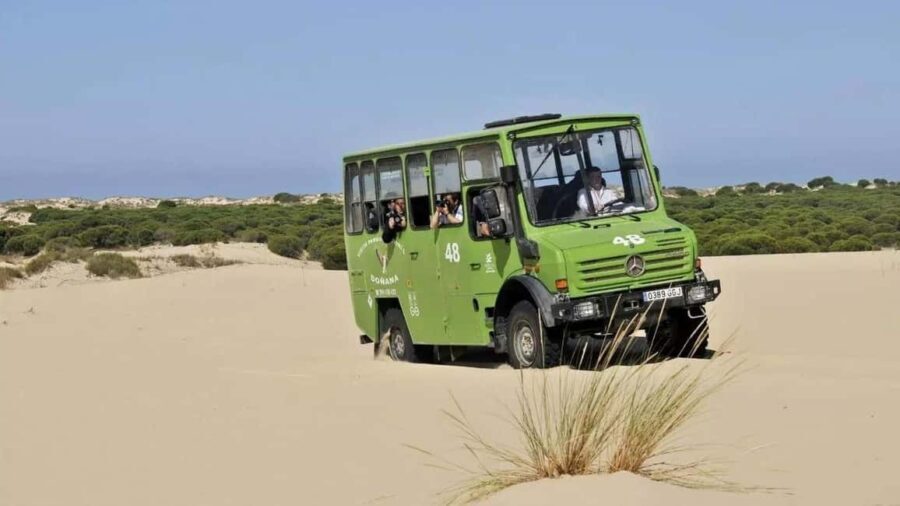 Doñana: 4x4 tour of the national park and beaches - Final Thoughts: Is It Worth It?