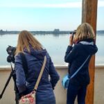 Donana National Park and El Rocío: Guided Tour from Seville - The Itinerary in Detail