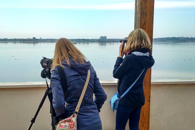 Donana National Park and El Rocío: Guided Tour from Seville - The Itinerary in Detail