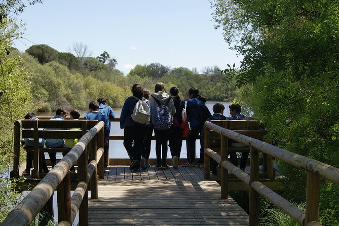 Doñana National Park in 4x4 and El Rocío