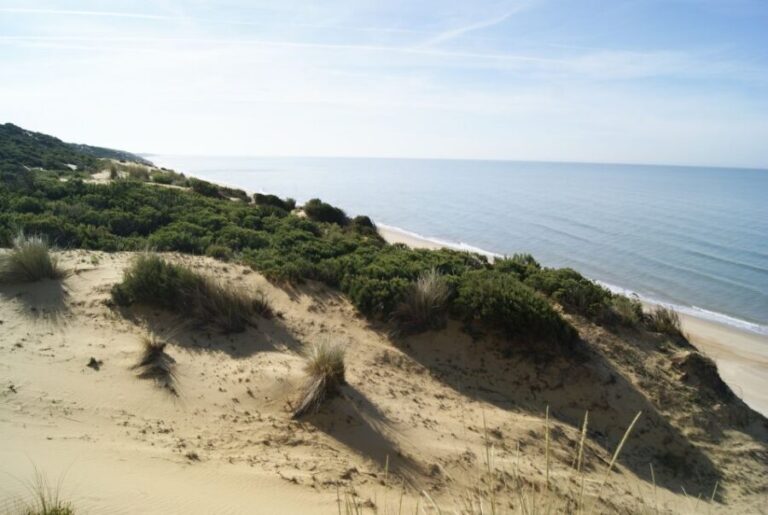 Doñana National Park Off-Road Tour from Seville - Frequently Asked Questions