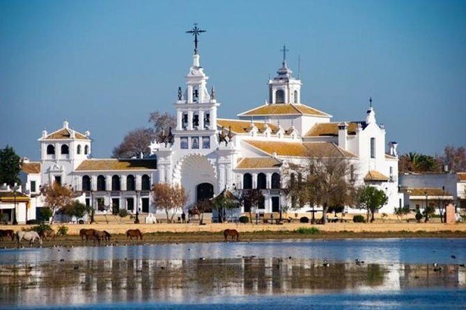 Doñana Natural Park Full-Day Tour from Seville - Final Thoughts