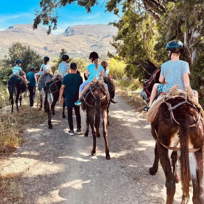 Donkey Ride - Cretan Country - Authenticity and Value