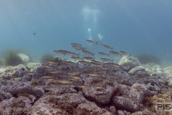 Double Discover Scuba Diving - Who Will Love This Tour?