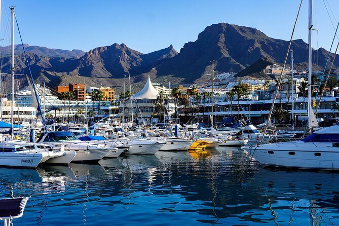 Double Tuk Tuk Tour in Costa Adeje - Practical Aspects and Value