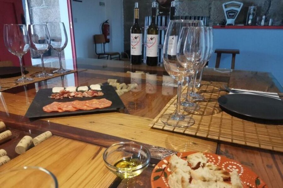 Douro: Premium Wine Tasting and Tapas Tour - Who Should Consider This Tour?