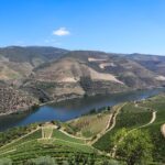 Douro Valley: Douro Valley Tour Including 3 Wineries - A Deep Dive into the Douro Valley Experience