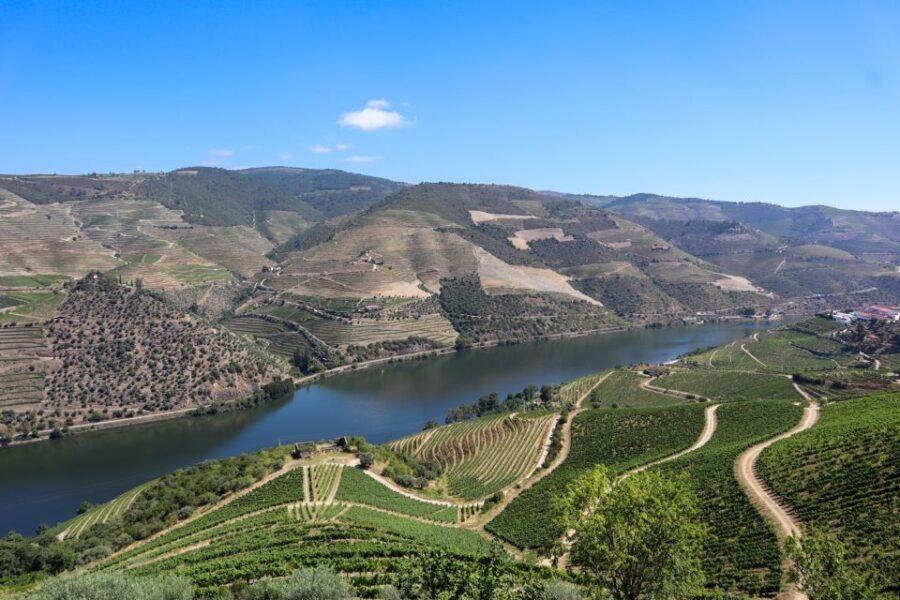 Douro Valley: Douro Valley Tour Including 3 Wineries - A Deep Dive into the Douro Valley Experience