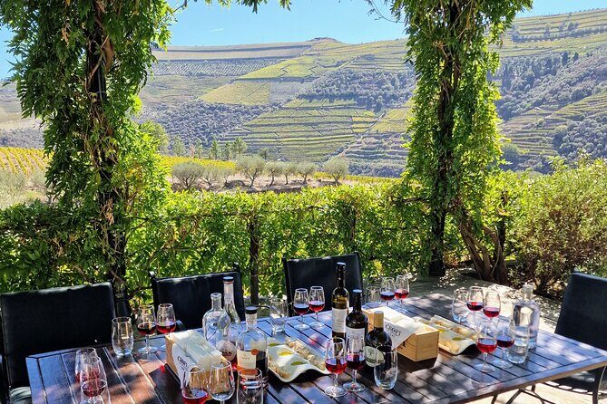 Douro Valley-Expert Guide-Boat-Lunch-Tastings Premium Service - The Highlight: River Cruise in a Rabelo Boat
