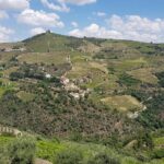 Douro Valley for Wine Lovers with Visit to 3 Vineyards and Lunch at a Winery - Who Would Love This Tour?