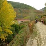 Douro Valley: From Casal de Loivos to Pinhão Walk and Wine Tour - Final Thoughts