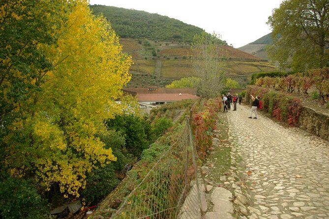 Douro Valley: From Casal de Loivos to Pinhão Walk and Wine Tour - Final Thoughts