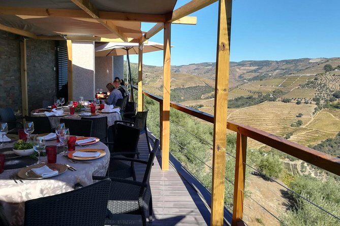 Douro Valley from Porto with Wineries, Lunch and Boat Trip - Who Will Love This Tour?