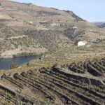 Douro Valley Premium with wine tasting lunch and boat - Authentic Experiences and Why They Matter