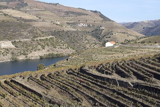 Douro Valley Premium with wine tasting lunch and boat - Authentic Experiences and Why They Matter