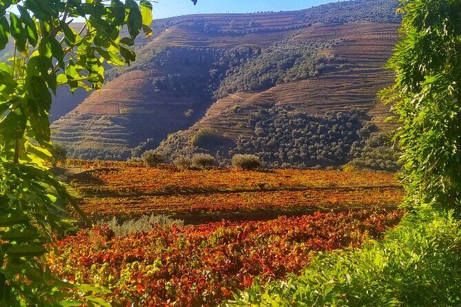 Douro Valley Prime Tour: Wine Tastings, Boat and Lunch from Porto - Exploring the Douro Valley from Porto: A Deep Dive