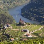 Douro Valley Private Full-Day Tour from Porto - Authentic Experiences & Practical Details