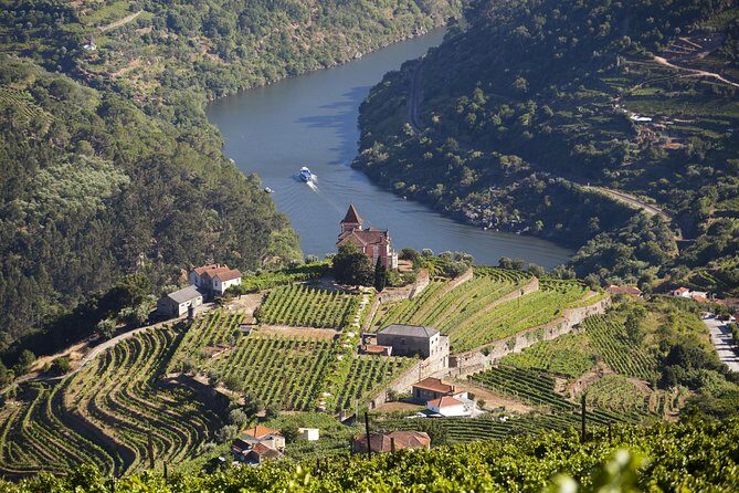 Douro Valley Private Full-Day Tour from Porto - Authentic Experiences & Practical Details