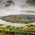 Douro Valley Private Tour from Oporto - An In-Depth Look at the Douro Valley Private Tour