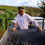 Douro Valley: Provesende and São Cristóvão Guided Hike - What Makes This Tour Stand Out?