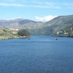 Douro Valley Tour (wine & Food) - A Closer Look at the Douro Valley Tour Experience