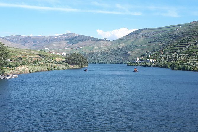 Douro Valley Tour (wine & Food) - A Closer Look at the Douro Valley Tour Experience