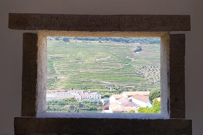 Douro Valley Wine Tour: 3 Vineyard Visits, Wine Tastings, Lunch - An In-Depth Look at the Douro Valley Wine Tour