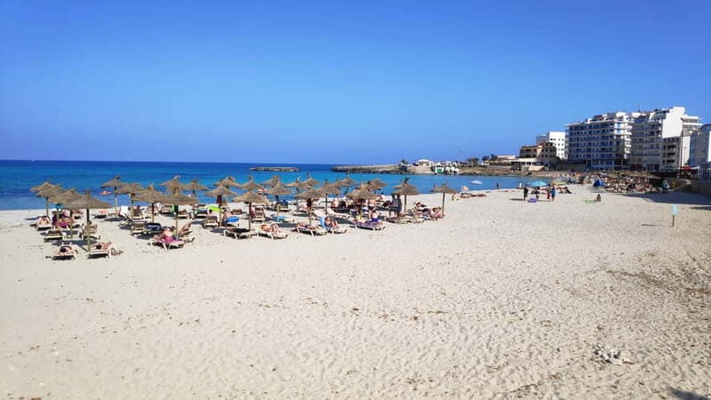 Drach Caves and Palma or Beach Retreat  Full-Day Tour - A Deep Dive into the Mallorca Full-Day Tour