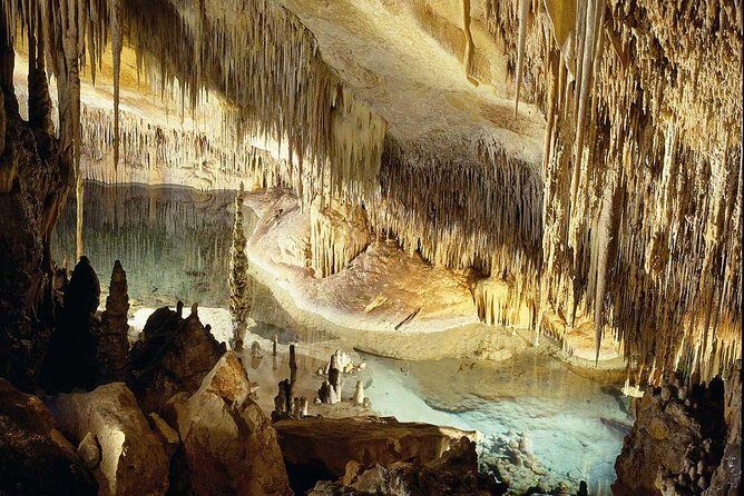 Drach Caves with Port Cristo and Pearl Shop Mallorca Full Day Tour - Who Should Take This Tour?