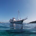 Dreamy Sails Daily Cruises at Argostoli Kefalonia Island - Who Will Love This Tour?