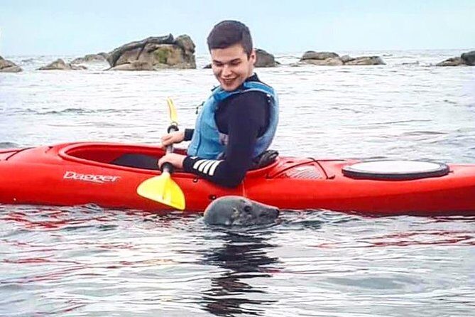 Dublin Bay Seal Kayaking Safari at Dalkey - Why It’s Worth It: The Value and Experience