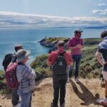 Dublin Coastal Hike, Pints & Puppies Adventure - Why This Tour Stands Out