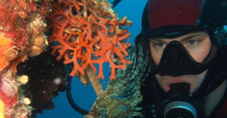 Dubrovnik: 1-Day Diving Package - Detailed Breakdown of the Itinerary