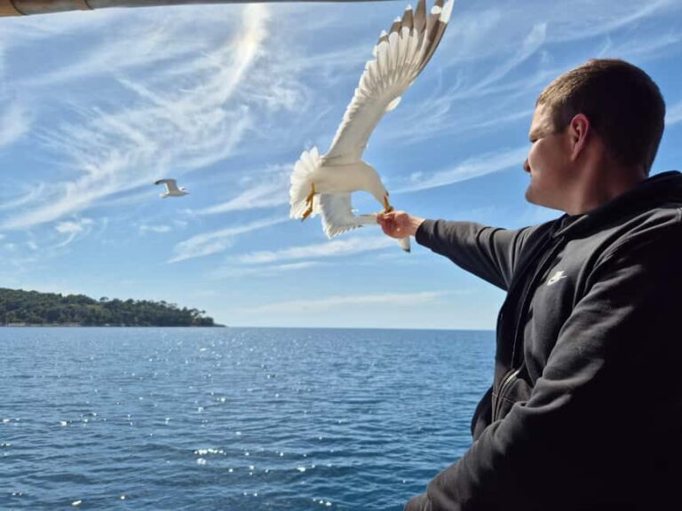 Dubrovnik: 3 Island Boat Tour with Lunch and Guide - Introduction: A Day on the Water in Croatia