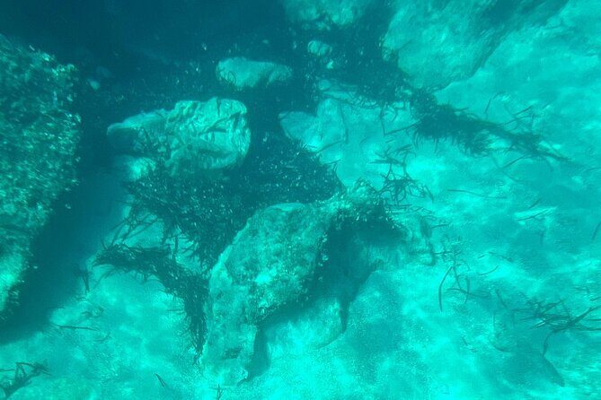 Dubrovnik: Blue Cave & Elaphiti islands & Optional Lunch Onboard - The Practical Side: Pricing & Value