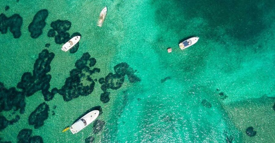 Dubrovnik: Blue & Green Caves Private Boat Tour with Drinks