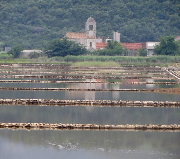 Dubrovnik: Day Trip to 3 Peljesac Wineries with Tastings - The Taste and the Views