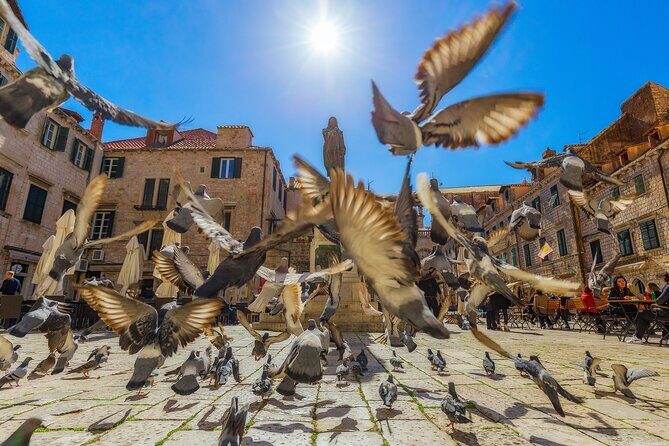 Dubrovnik Guided Tour & Free Time From Makarska Riviera - Who Is This Tour Best For?