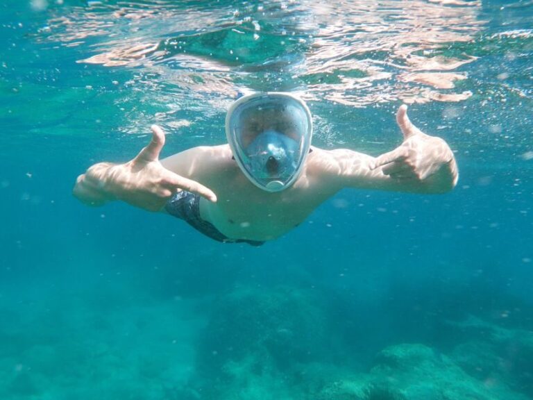 Dubrovnik: Half-Day Private Boat Trip to Elafiti Islands - Analyzing the Value