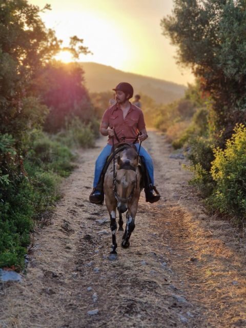 Dubrovnik Kojan Koral: Horseback Riding - The Value of the Experience